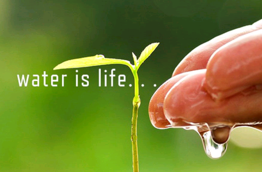 Water as an essential element of life