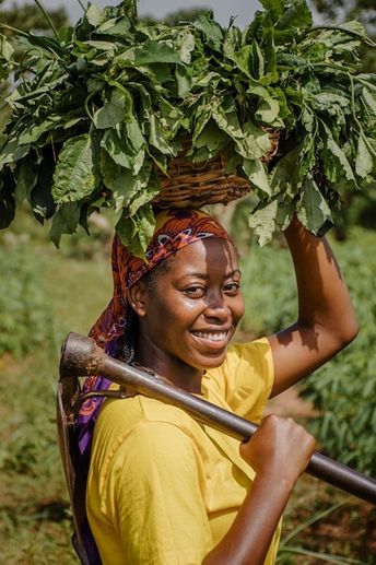 IMPORTANCE OF FARMING