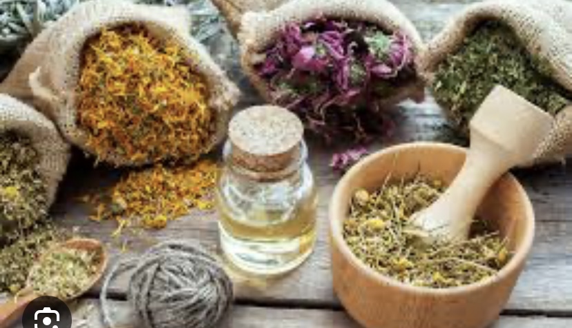 WHY HERBAL MEDICINE IS IMPORTANT TO THE BODY