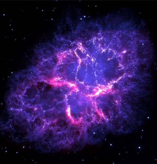 🌌 The Secret Life of Starlight