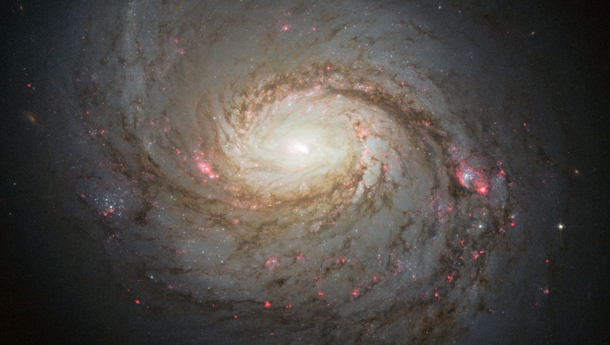 Galaxy’s Extreme Core Might Have A Whole New Source Of Ghostly Particles