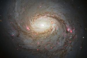 The Squid Galaxy’s neutrino game just leveled up